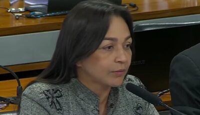 Eliziane e deputado relator discutem durante depoimentos da CPMI do INSS