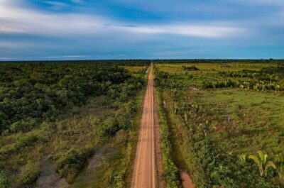 Observatório do Clima denuncia que 80% das emendas à MP representam retrocessos ambientais
