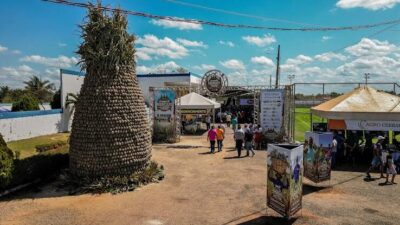 Festival do Abacaxi movimenta São Domingos do Maranhão com cultura, agronegócio e grandes shows