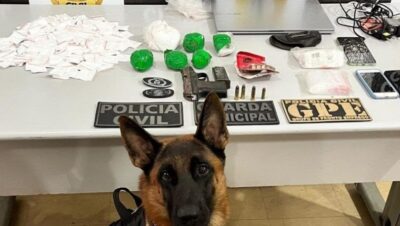 Polícia encontra droga com ajuda de cão farejador em Imperatriz