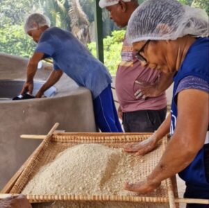 Prefeitura promove quarta edição do Festival da Farinha de São Luís
