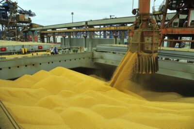 Produção de grãos do Maranhão cresce e chega a 8,79 mi de toneladas na safra 24/25