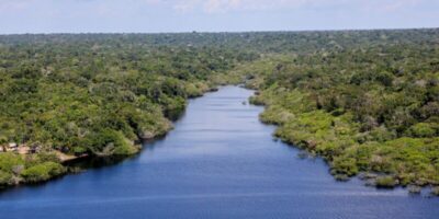 Evento em Belém discute transição ambiental com líderes empresariais