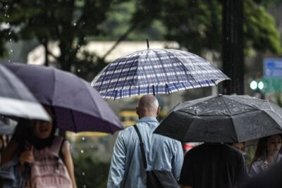 SP: Chuva, ventos fortes e queda de árvores deixam 900 mil sem energia