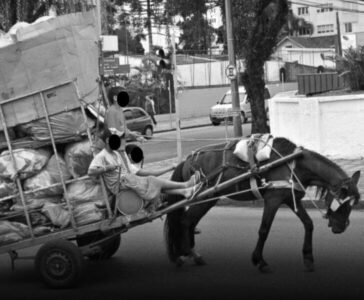 Comissão aprova projeto que criminaliza uso de veículo com tração animal
