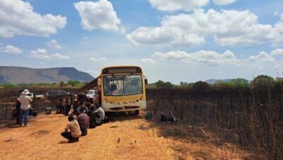 108 resgatados em Goiás