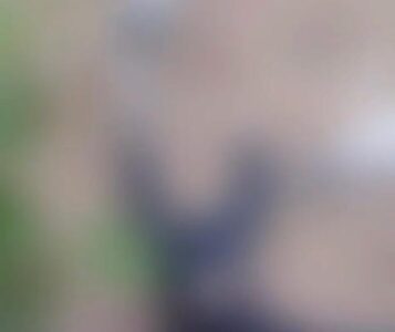 Urgente: Corpo de homem é encontrado por populares no bairro Alto do Turu em São José de Ribamar na região Metropolitana da grande São Luís do Maranhão