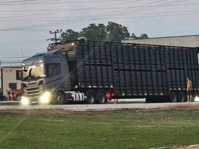 Motorista de caminhão boiadeiro morre eletrocutado em Lajeado Novo no Maranhão
