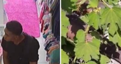 Corpo de homem acusado de ejacular em vendedora é encontrado em São Luís: caso levanta polêmica sobre impunidade e segurança pública