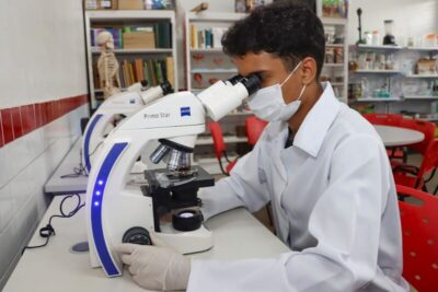 Pesquisadores da Uemasul descobrem bactéria que pode revolucionar a agricultura sustentável