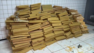 Maranhão registra aumento de 60% nas apreensões de drogas e causa prejuízo de R$ 215 milhões ao crime organizado