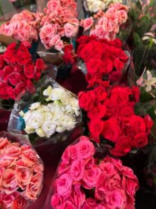 Rio Anil Shopping recebe festival Flores de Holambra até domingo (05)