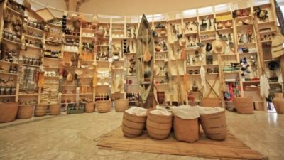 Comissão debate preservação de acervos e coleções culturais e científicas