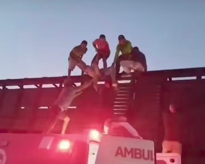 Foto: Reprodução
