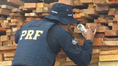 PRF apreende madeira nativa transportada ilegalmente em Bela Vista do MA