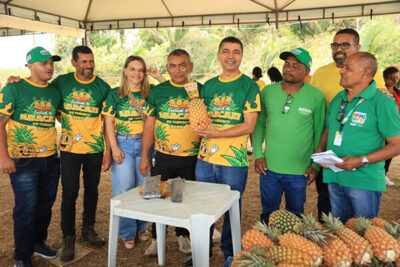 Governo leva benefícios à produção de abacaxi de Turiaçu