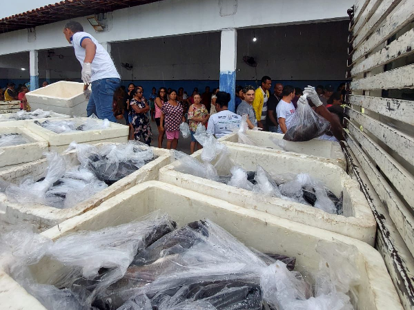Prefeita Paula Azevedo mantém tradição na Semana Santa distribuindo 8 toneladas de pescado e centenas de cestas básicas