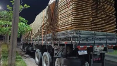 PRF apreende caminhão com 30 m³ de madeira extraída ilegalmente na BR-316
