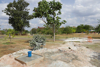 Parque Bosque do Sudoeste recebe novos banheiros, espaço de calistenia e mais infraestrutura
