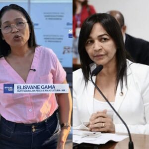Irmã da senadora Eliziane Gama comanda Superintendência responsável por maior parte de cadastros de pesca suspensos no Maranhão