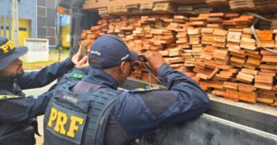 PRF faz operação contra crimes ambientais em cidades do MA