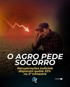 Crise no campo: produtores recorrem à recuperação judicial para sobreviver