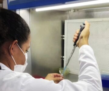 Fapema divulga resultado final do Edital Plano Maranhão 2050 com 71 selecionados