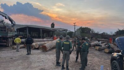 PF desarticula esquema de extração ilegal de madeira em terras indígenas no Maranhão