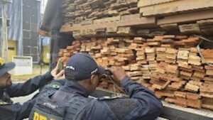 PRF resgata 70 aves mantidas em cativeiro e apreende madeira com documentação inválida em municípios