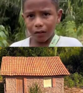 Menino maranhense que perdeu a mãe, vítima de feminicídio, ganha casa nova e emociona o país