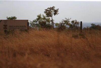 MATOPIBA perdeu 15,7 milhões de hectares de vegetação nativa em 40 anos