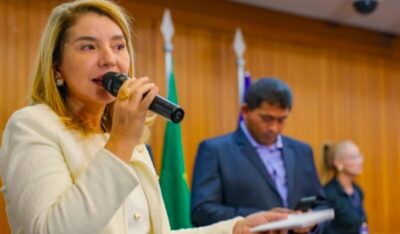 Deputada Iracema Vale participa de audiência pública sobre atendimento dos planos de saúde às pessoas com TEA