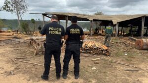 Polícia Federal combate extração ilegal de madeira em terras indígenas no Maranhão