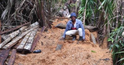 Denúncia de Crimes Ambientais em Alcântara (MA)