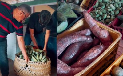 Prefeitura de Pinheiro realiza mais uma etapa de entrega de alimentos a famílias carentes
