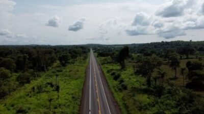 Familiares procuram homem que desapareceu em mata fechada em Timon