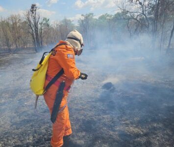 Maranhão reduz volume de queimadas e avança em ações de combate