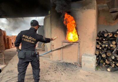 Polícia Federal incinera mais de 400 quilos de skunk apreendidos em Caxias