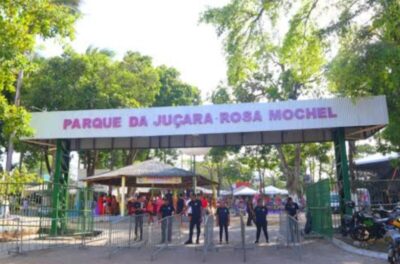 Festa da Juçara chega à sua 56ª edição no Maracanã com novidades e valorização da tradição maranhense