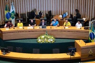 Professores e alunos de capoterapia recebem homenagem na Câmara Legislativa