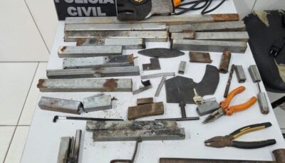 Polícia Civil desativa fábrica clandestina de armas e prende homem em Timon