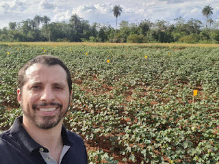 Pesquisa apoiada pela FAPDF mostra o carbono como aliado da agricultura sustentável