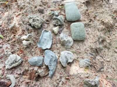 Iphan identifica novo sítio arqueológico em Bequimão (MA)