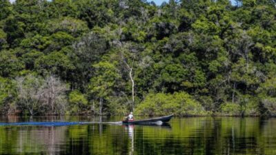 Maranhão reduz desmatamento em 26% e contribui para queda histórica na Amazônia, aponta Inpe