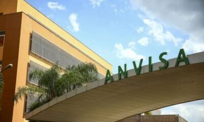 Anvisa restringe venda de azeite, sal do himalaia e chá; confira