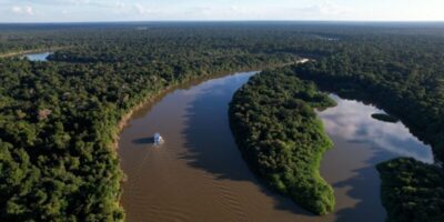 Amazônia Legal teve uma redução de 11,08% no desmatamento em um ano