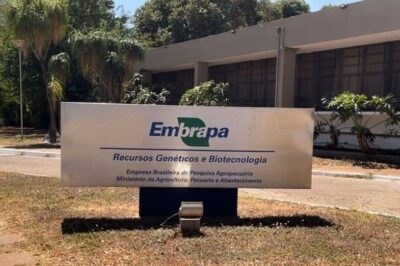 Funcionário é esfaqueado por ex-estagiário dentro de laboratório da Embrapa