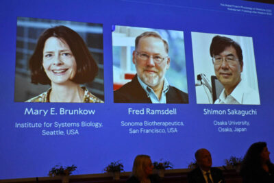 Nobel de Medicina 2025 premia cientistas que descobriram como o sistema imunológico evita atacar o próprio corpo