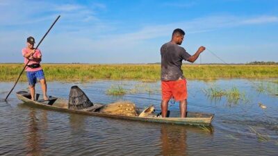 Urgente: Ministério da Pesca suspende mais de 30 mil licenças de pescadores na Baixada e Litoral Maranhense por suspeita de fraude