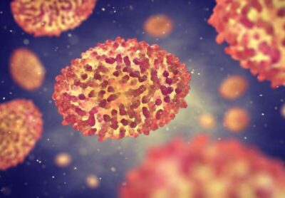 Varíola dos macacos: Brasil confirma mais um caso da doença e país chega a 48 infectados pelo vírus